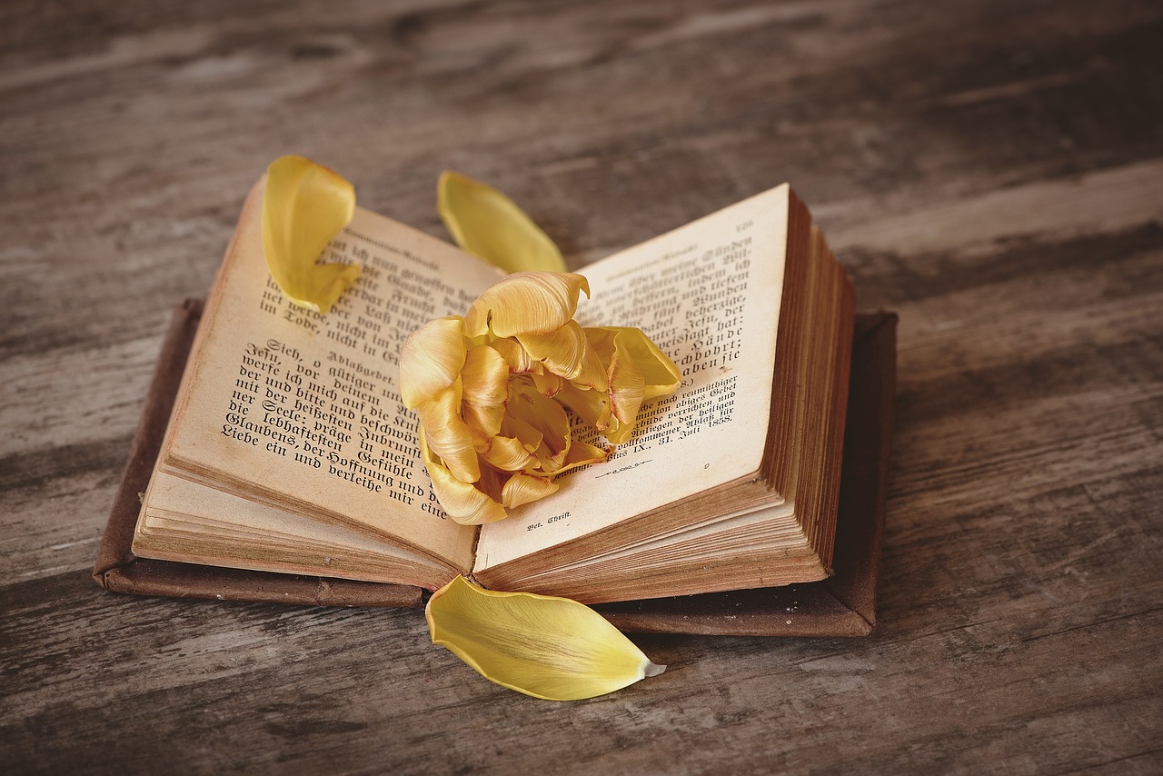 Use Your Story to Connect with Others